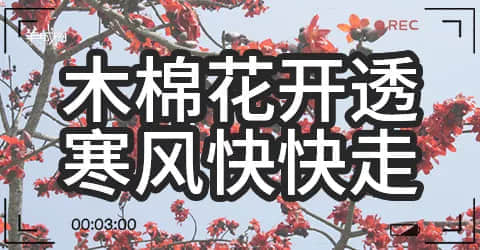 廣州天氣亂咁嚟？都系因為你粵語未學(xué)好！
