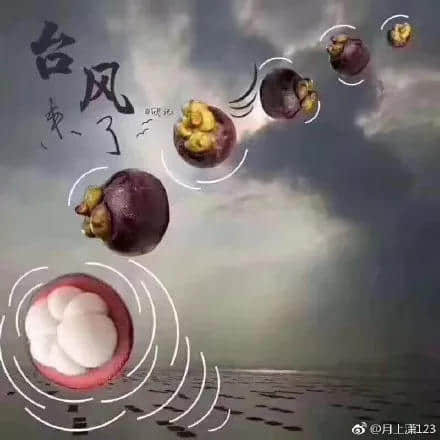 一個(gè)臺(tái)風(fēng)山竹，令我看清廣東人的真面目！