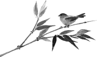 據說張藝謀最被期待的電影，正在挑戰(zhàn)中國觀眾的感官