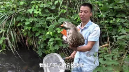 地表最兇殘物種:沒有感情的廣東人 地表最兇殘物種:沒有感情的廣東人