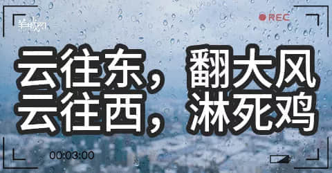 廣州天氣亂咁嚟？都系因為你粵語未學(xué)好！