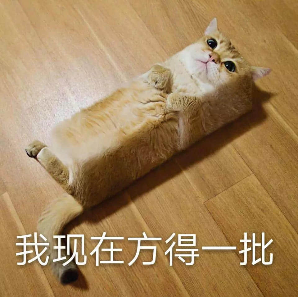 我有病，與錢無緣，對人過敏！