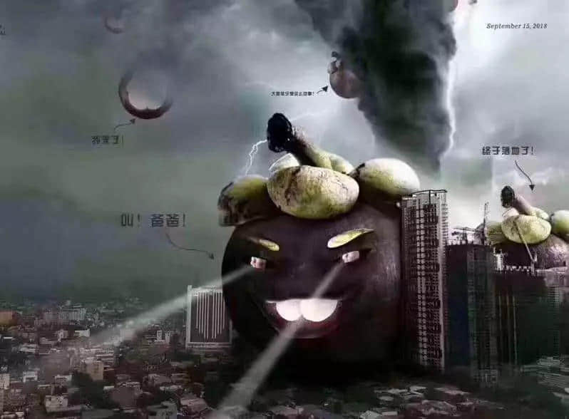 一個(gè)臺(tái)風(fēng)山竹，令我看清廣東人的真面目！