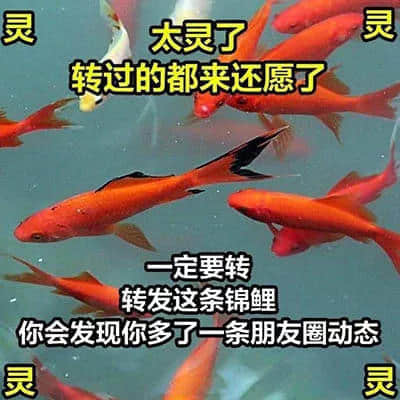 我有病，與錢無緣，對人過敏！