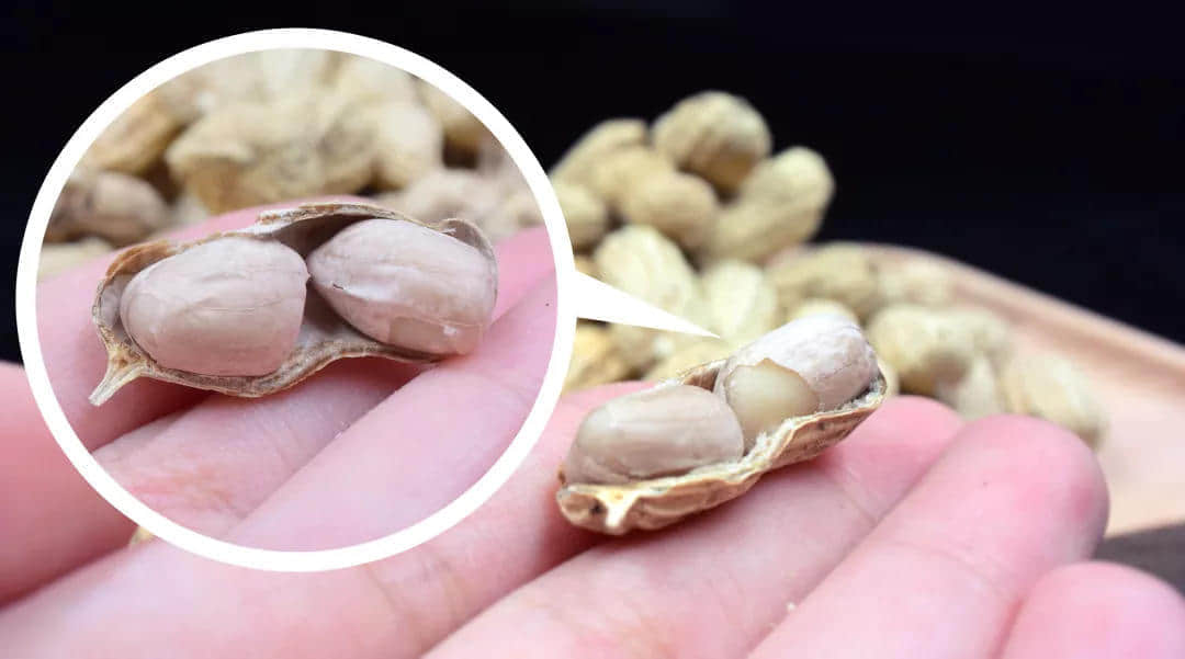 童年絕版零食大測評，廣東人最愛的是________?