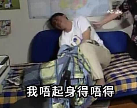 確認(rèn)過表情包，都是看《外來媳婦本地郎》長大的人！