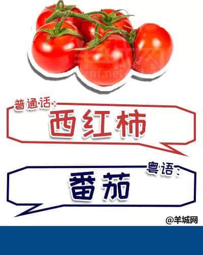 系唔系正宗廣府人，行個(gè)街市就知道曬！