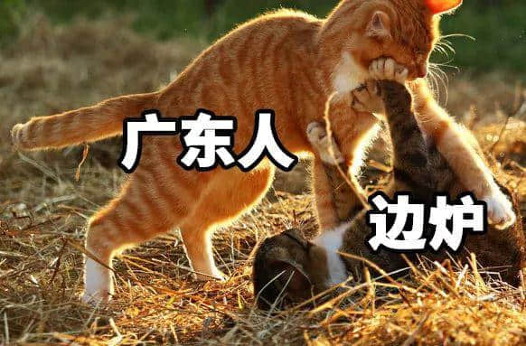 在廣東，有一種境界叫清水打邊爐