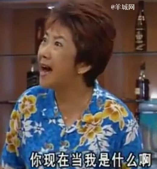 確認(rèn)過表情包，都是看《外來媳婦本地郎》長大的人！