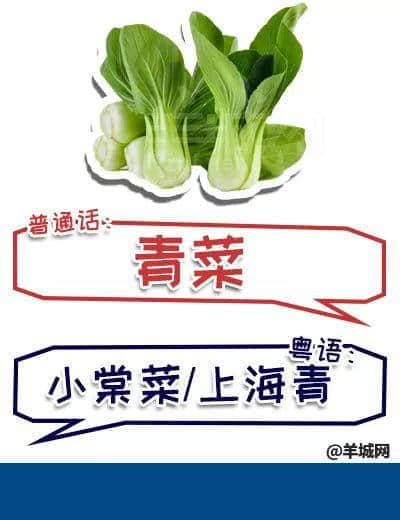 系唔系正宗廣府人，行個(gè)街市就知道曬！