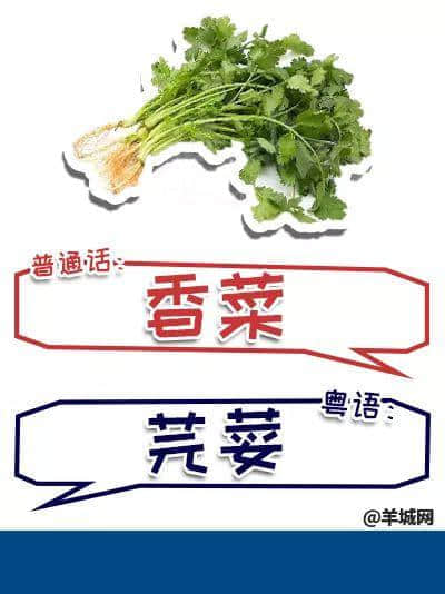 系唔系正宗廣府人，行個(gè)街市就知道曬！