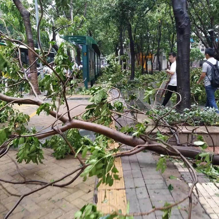 天南地北的“千禧之子”眼中，廣州是怎樣的？