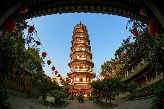 廣州再多高樓，都不如小時候嘅榕樹頭