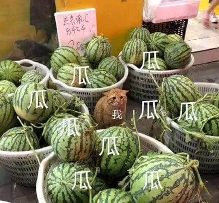 對(duì)不起，這份粵語(yǔ)吃瓜指南來(lái)遲了！