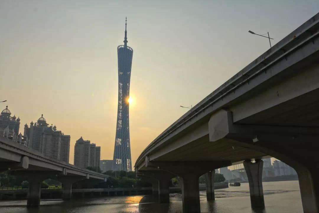 廣州再多高樓，都不如小時候嘅榕樹頭