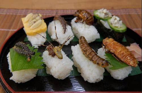 廣州人咩都食？！爆漿蠶蛹都只系碎料！