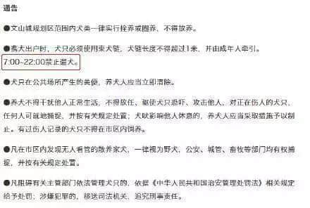 @廣州人，你是個合格的狗主人嗎？