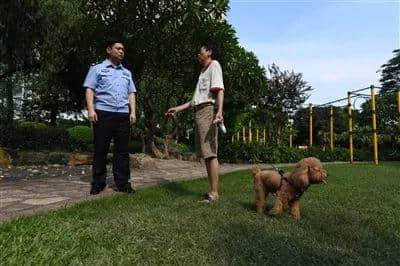 @廣州人，你是個合格的狗主人嗎？