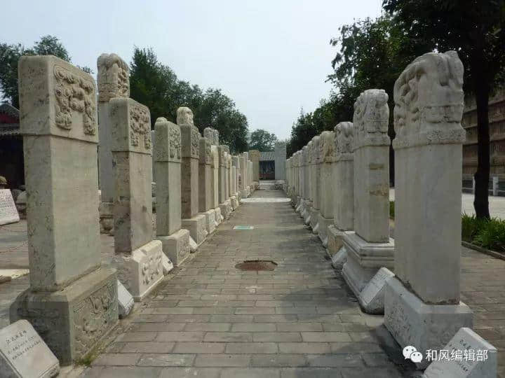 這個(gè)民族不應(yīng)驚人的無知、驚人的忘恩負(fù)義......