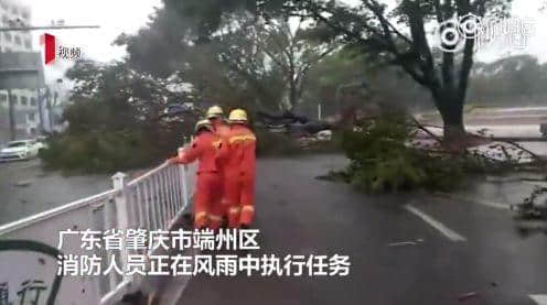 原來廣州人系咁樣樣面對史上最強臺風之一？？