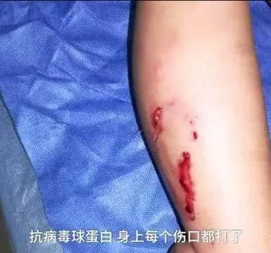 @廣州人，你是個合格的狗主人嗎？