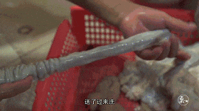 如果牛三星會(huì)說(shuō)話，一定是廣州口音！
