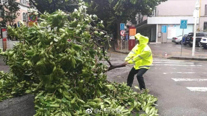 原來廣州人系咁樣樣面對史上最強臺風之一？？