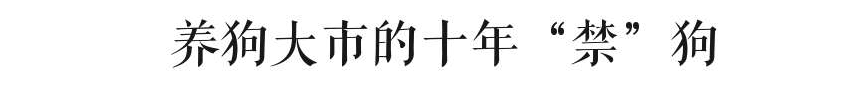 @廣州人，你是個合格的狗主人嗎？