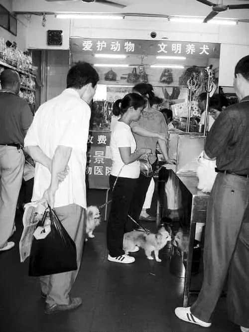 @廣州人，你是個合格的狗主人嗎？