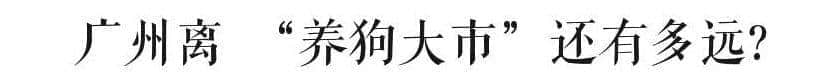 @廣州人，你是個合格的狗主人嗎？
