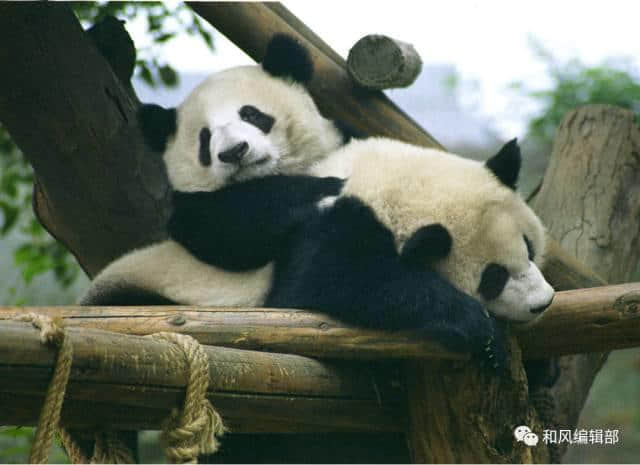 這個(gè)民族不應(yīng)驚人的無知、驚人的忘恩負(fù)義......
