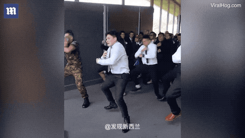 新西蘭的毛利戰(zhàn)舞為何會令人血脈沸騰？