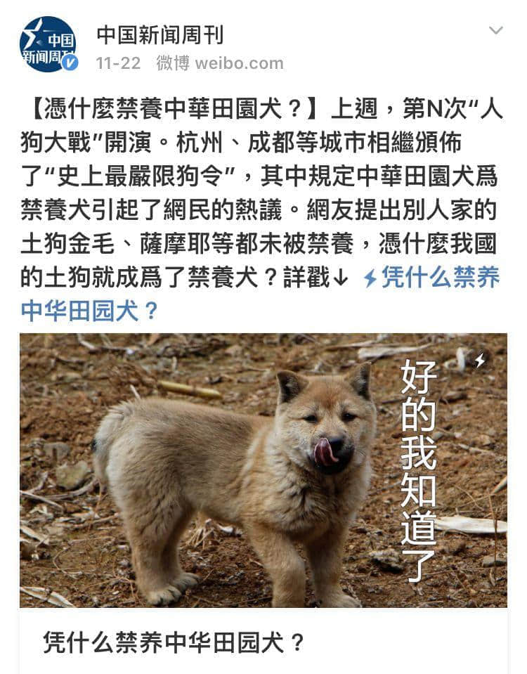 @廣州人，你是個合格的狗主人嗎？