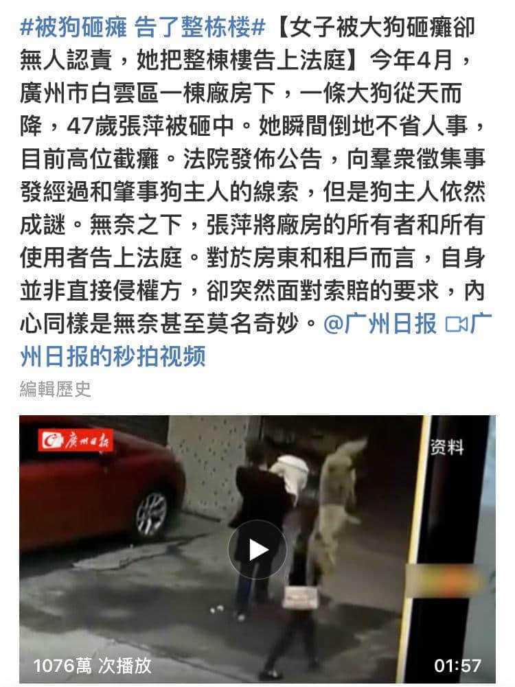 @廣州人，你是個合格的狗主人嗎？