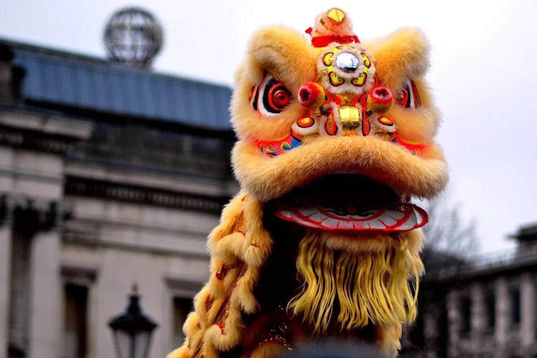 點(diǎn)解2019年廣東人唔會(huì)再轉(zhuǎn)發(fā)錦鯉？