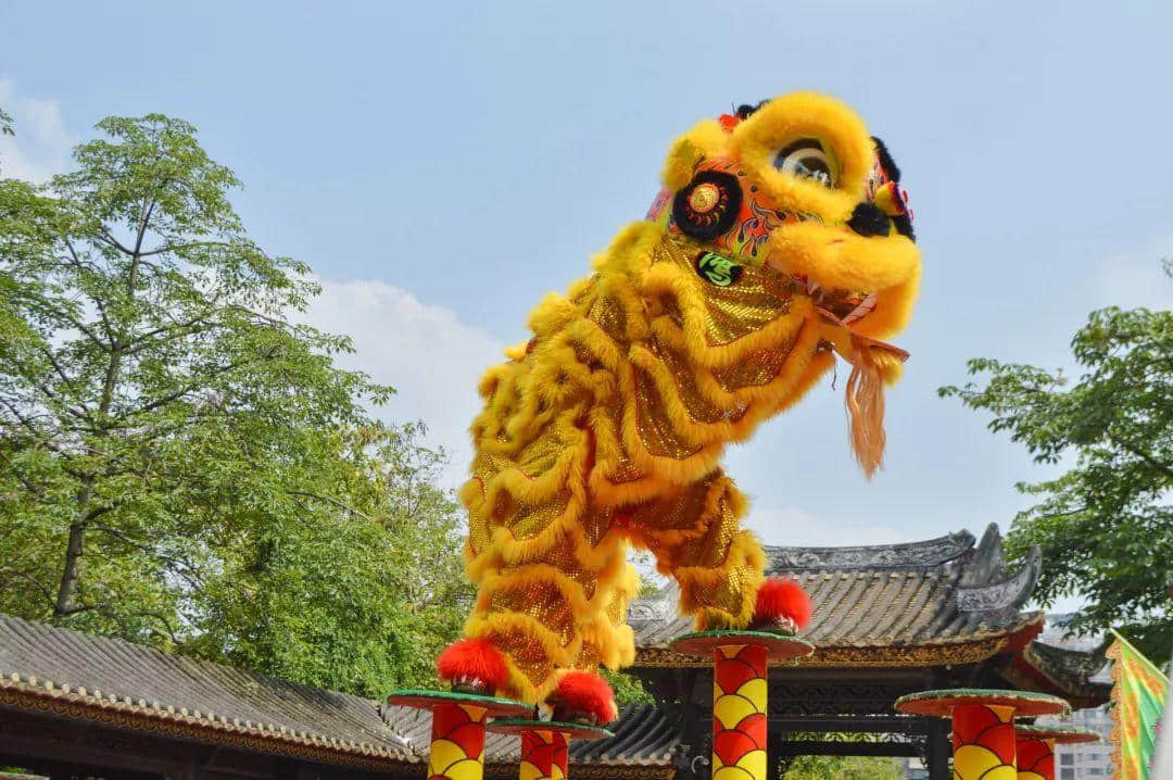 點(diǎn)解2019年廣東人唔會(huì)再轉(zhuǎn)發(fā)錦鯉？