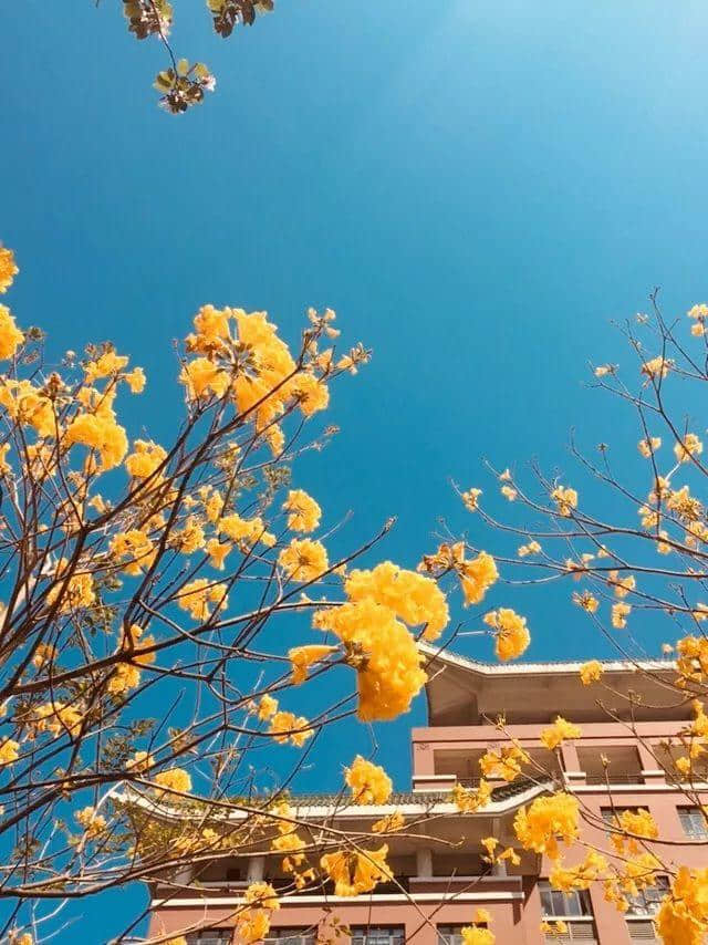 嘔血整理！只有一個(gè)地方，系廣州單身狗嘅避難所！