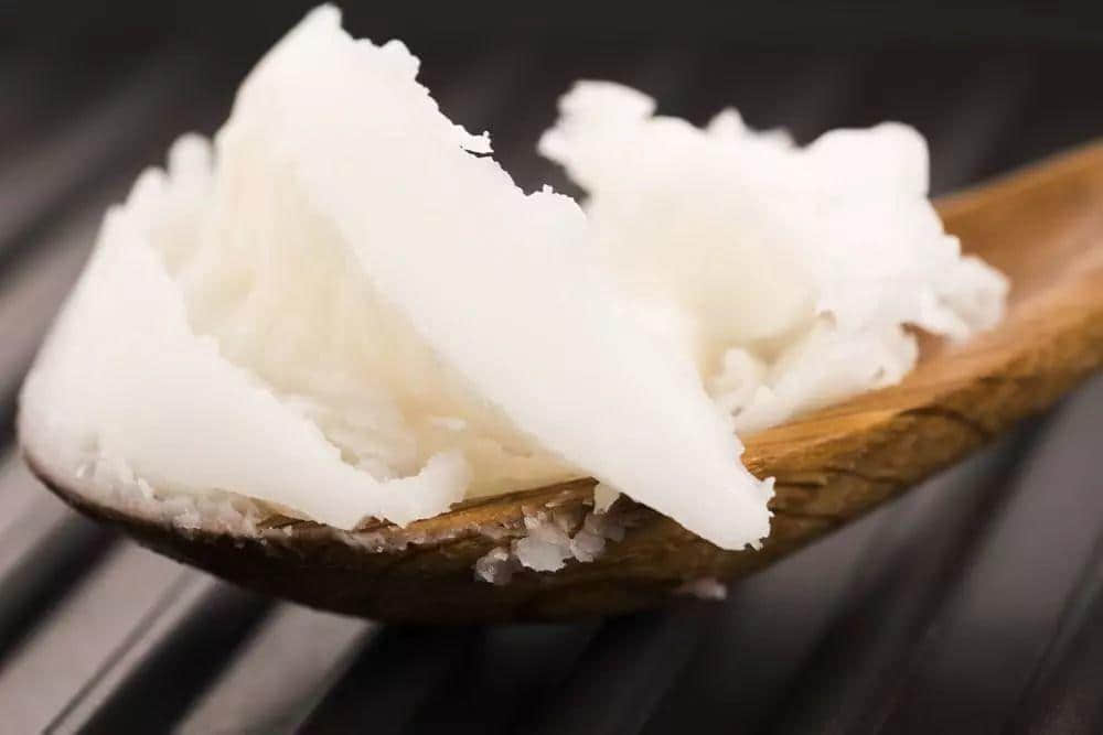 人間美味豬油渣，養(yǎng)成油膩廣東人