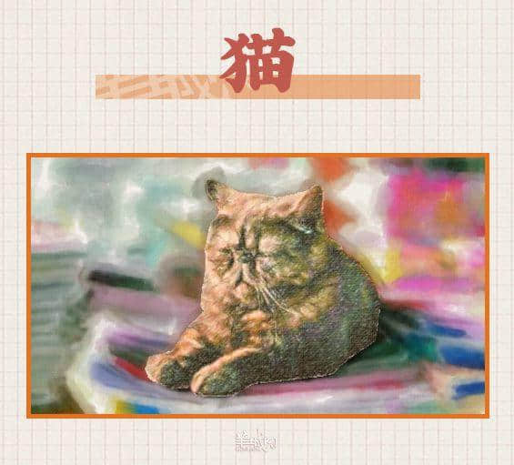最有人情味的廣州，都藏在街角的士多