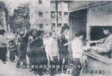 廣州三大奶，從細(xì)飲到大！