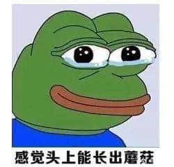 廣東人回南天獨家續(xù)命指南