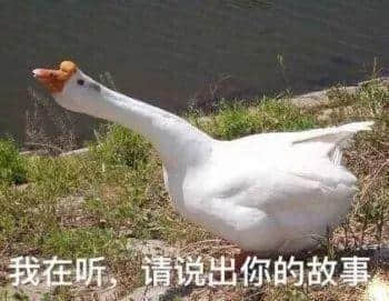 假如你系一只鵝，千祈唔好嚟廣東！