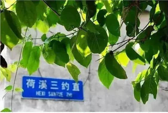 99%的廣州人不知道，廣州居然有這么多神奇路名！