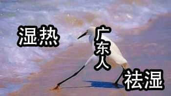 廣東，一個來了就會濕的省份
