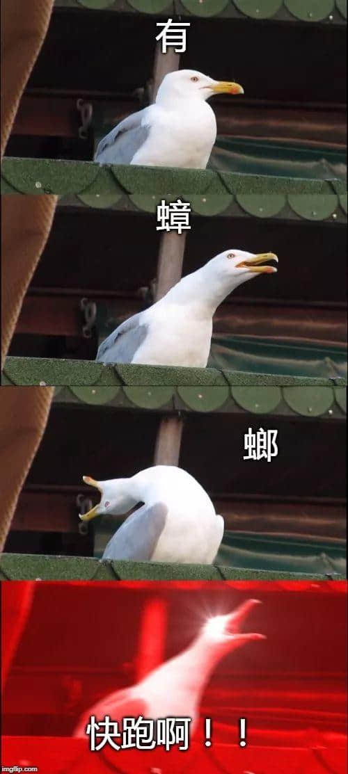 廣州，一座靠天氣上熱搜嘅佛系城市｜一句話神總結(jié)廣州