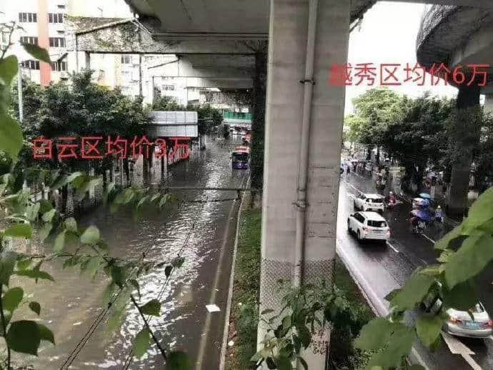 最夠姜嘅廣東人，點(diǎn)樣食姜？