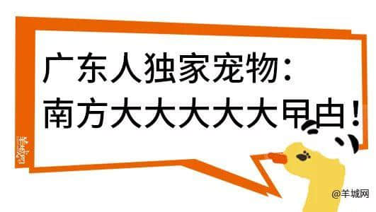 廣州，一座靠天氣上熱搜嘅佛系城市｜一句話神總結(jié)廣州