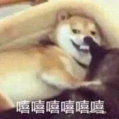 廣州，一座靠天氣上熱搜嘅佛系城市｜一句話神總結(jié)廣州