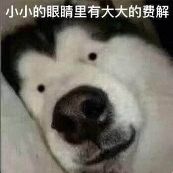 垃圾分類逼癲上海人，下一個就輪到廣州人！