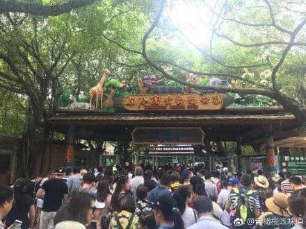 12個(gè)過(guò)氣童年游戲，每一款都是廣東人的回憶殺！